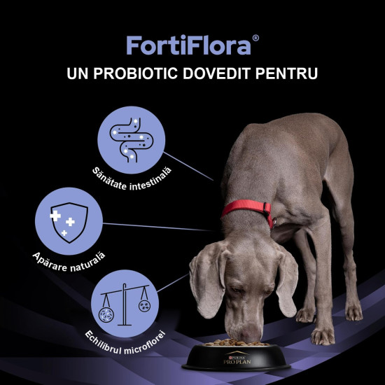 Purina Pro Plan Canine FortiFlora – Supliment Probiotic pentru Câini – 30 Plicuri